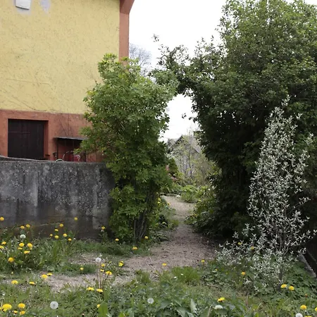 Hodky Villa *